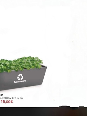 Tupperware flowerpot new