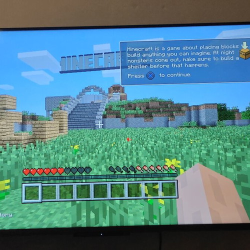 Minecraft PlayStation 3 Edition game