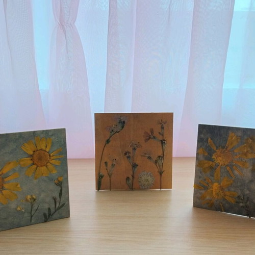 Set of 3 handmade frames with dried flowers new