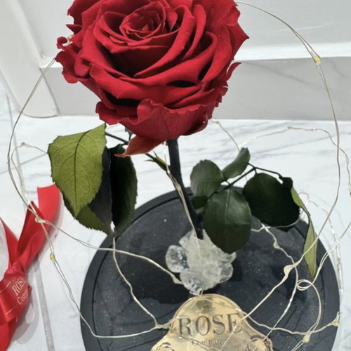 Preserved red rose in glass dome used with LED lights