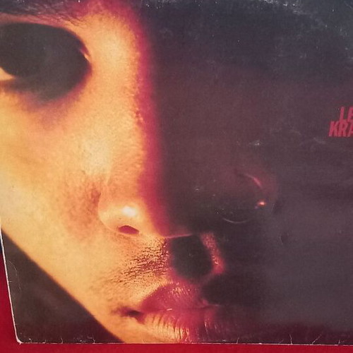 Lenny Kravitz Let Love Rule vinyl used, rock