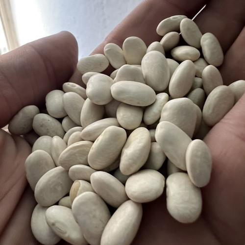 Beans for cooking, 3 kg
