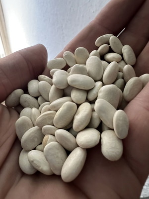 Beans for cooking, 3 kg