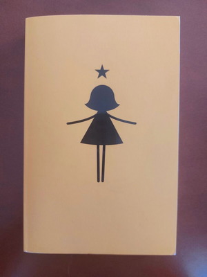Βιβλίο Stargirl αγγλικό, καινούργιο