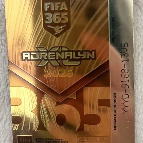 Panini golden card Bastoni like new