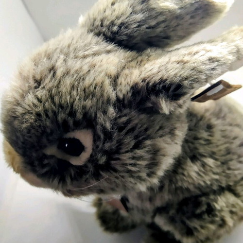 Anna Club Plush Grey Shades Stuffed Bunny New
