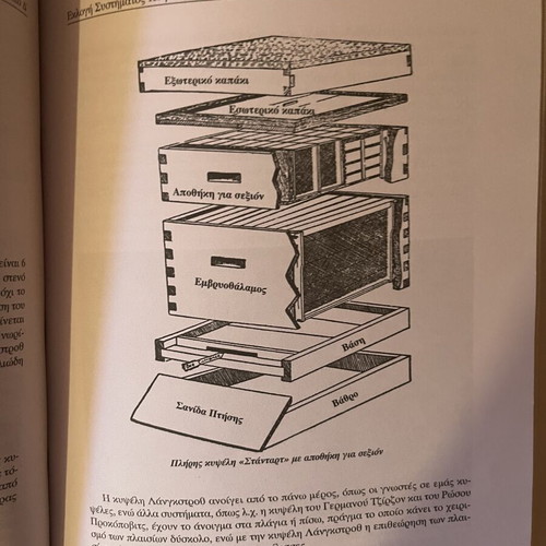 Beekeeping book used, modern methods of intensive exploitation 2005