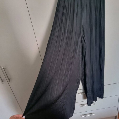 Zara Wide Pleated Pants Like New, Size S/36