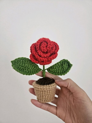 Κόκκινο τριαντάφυλλο σε γλάστρα σαν καινούργιο, διακόσμηση γραφείου