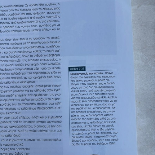 Brain and Behavior Volume 2 by Bryan Kolb & Ian Q. Whishaw
