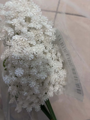 Plastic gypsophila new