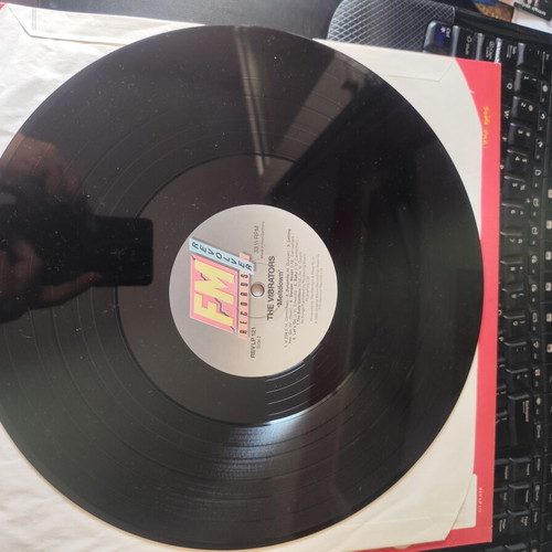 The Vibrators Meltdown LP first press 1988 like new, punk