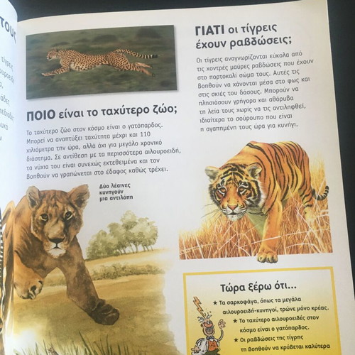Ti Pou Giati children's book used, questions and answers about nature