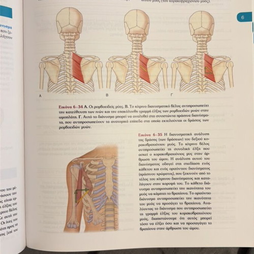 Kinesiology book like new, Greek language