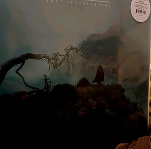 Δίσκος βινυλίου Death white grey everlasting dark metal masterpiece
