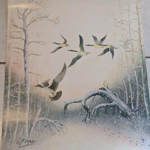 Poster with birds Atlantik art like new
