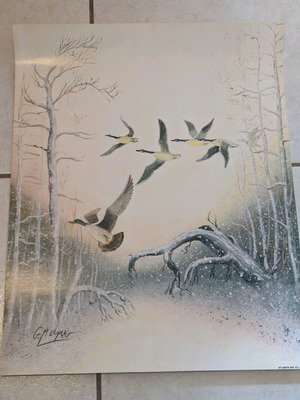 Poster with birds Atlantik art like new