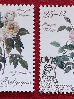 Τριαντάφυλλα 1990 (Βέλγιο) μεταχειρισμένα, σειρά 2 σφραγισμένων γραμματοσήμων