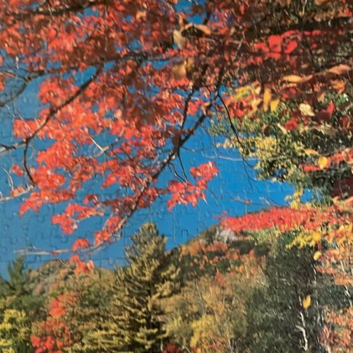 Puzzle board like new with river landscape and blooming tree