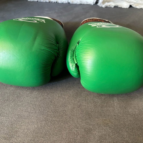 Olympus boxing gloves 10 oz like new