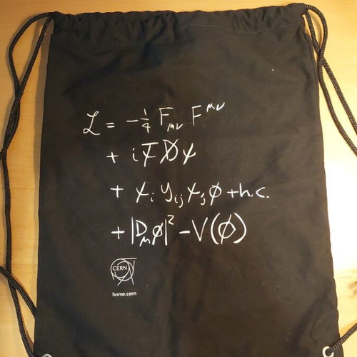 CERN Bag like new with Lagrangian operator design