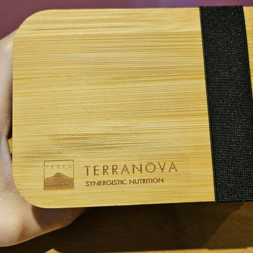 Bamboo lunchbox TerraNova new with two levels and bamboo lid