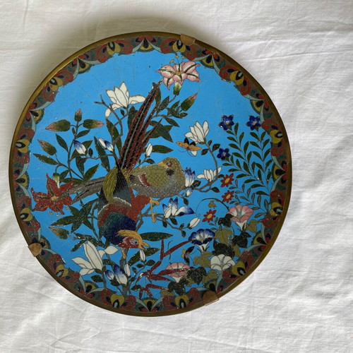 Japanese Meiji era cloisonné plate used, enamel on copper