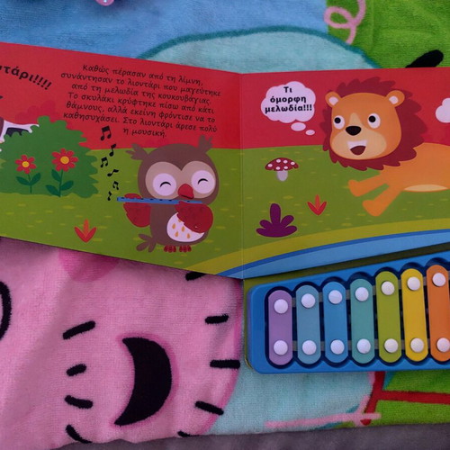 Children's book with xylophone like new