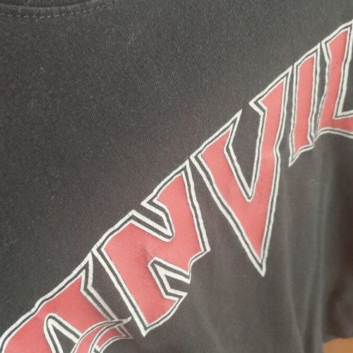 Anvil t shirt used, size large, sleeveless