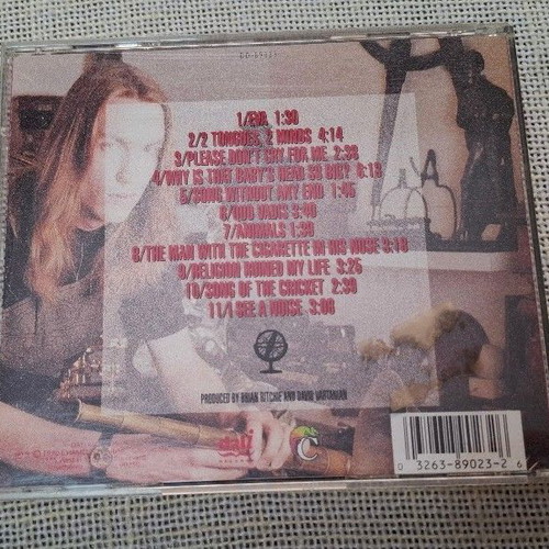 Brian Ritchie I See A Noise CD, rock