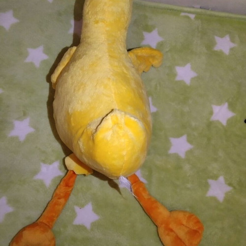 Plush duck used, 53 cm