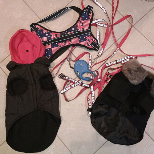 Dog items like new, coat, raincoat, leashes, harnesses for small dogs