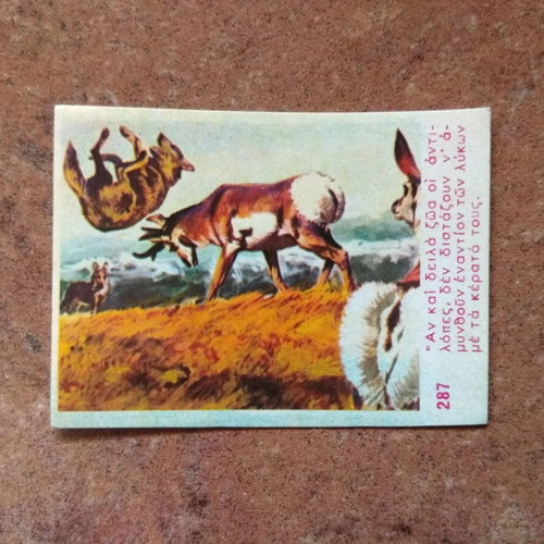 Ion Safari wafer sticker used No287
