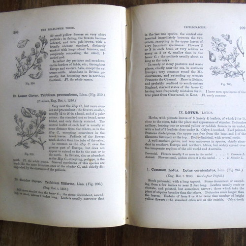 Handbook of the British Flora 2 volumes used, 1865