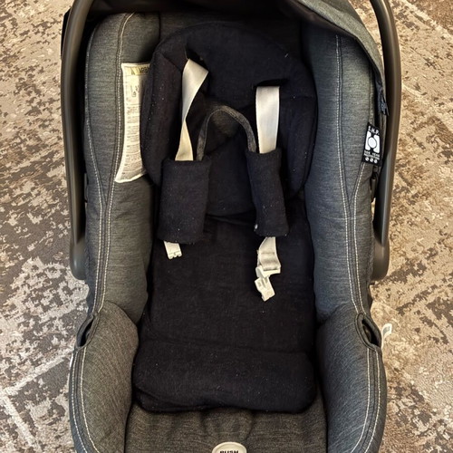 Inglesina Trilogy baby stroller used with accessories