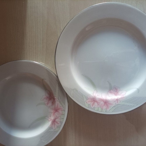 Eschenbach Bavaria Porcelain Dinnerware Set 69 Pieces New