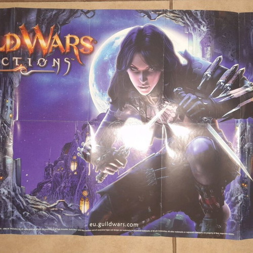 Guild Wars Factions poster used