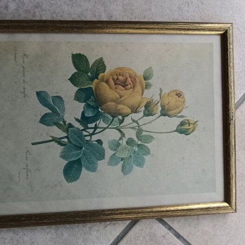 Flower frames set of 8, like new, 24x31.5 cm