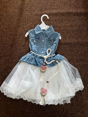Children's dress new