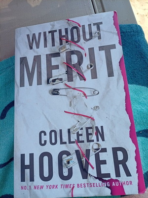 Without Merit book like new, English
