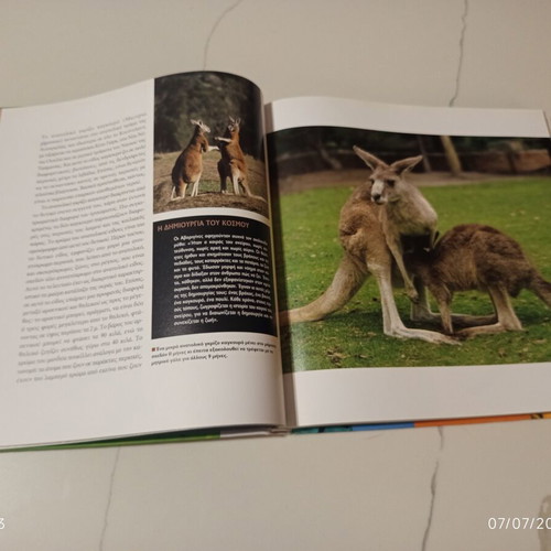 The Encyclopedia of Animals Volume 15 used, Kangaroo and Australian Animals