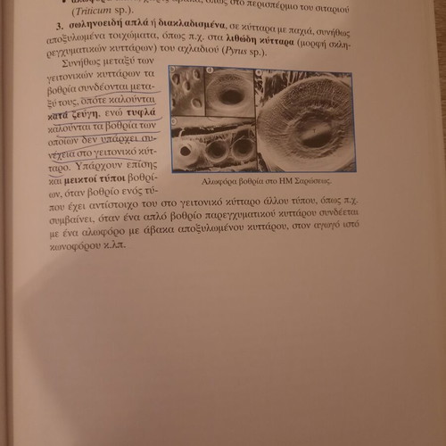 Plant Morphology Part I, University of Patras Publications