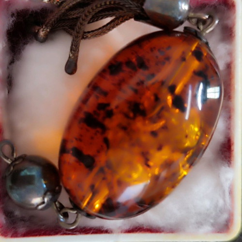 Authentic amber with fossils inside new