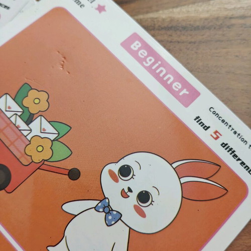 Find the Differences game used with 20 reusable cards and marker