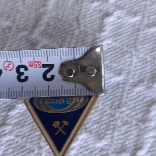 Railway professional pin KZ new