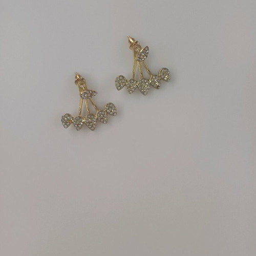 Earrings new for chic appearances