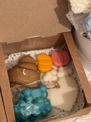 Wax melts box new from soy plant-based wax with surprise scents