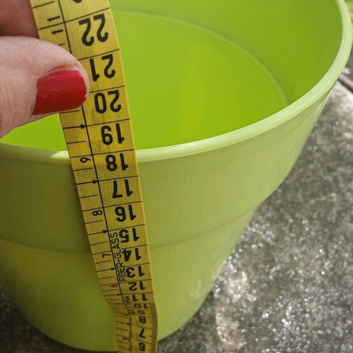 IKEA vase and non-IKEA planter new, with 2 usage ways