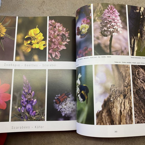 Natura Chia book like new by Pantelis D. Saliaris