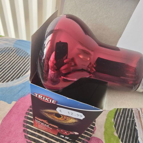 Red Lamp for Reptiles New, Only Box